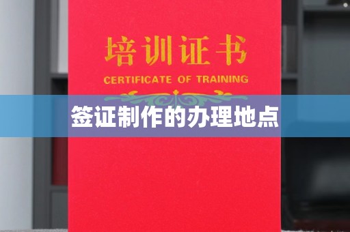 湖内签证制作的办理地点