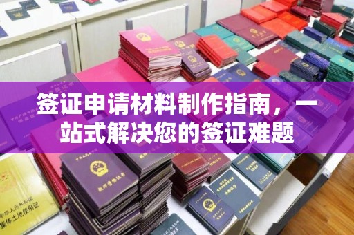 湖内签证申请材料制作指南，一站式解决您的签证难题