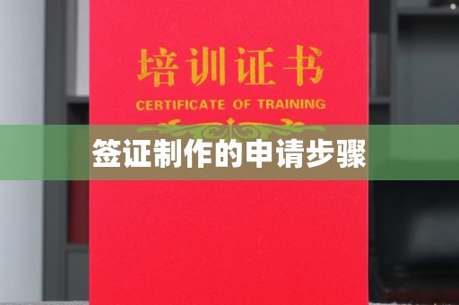 湖内签证制作的申请步骤