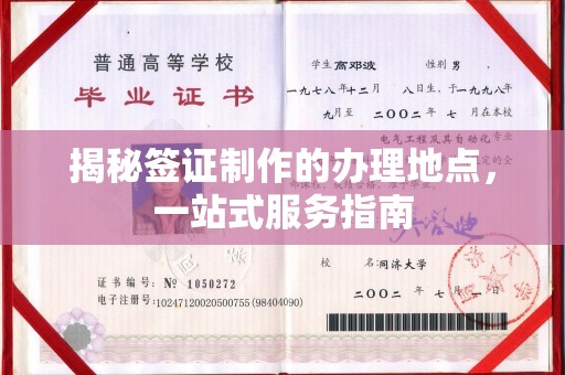 湖内揭秘签证制作的办理地点，一站式服务指南