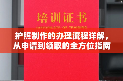 湖内护照制作的办理流程详解，从申请到领取的全方位指南