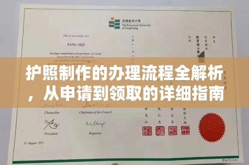 湖内护照制作的办理流程全解析，从申请到领取的详细指南