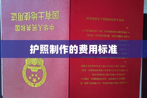 湖内护照制作的费用标准