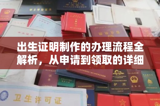 湖内出生证明制作的办理流程全解析，从申请到领取的详细指南