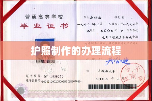 湖内护照制作的办理流程